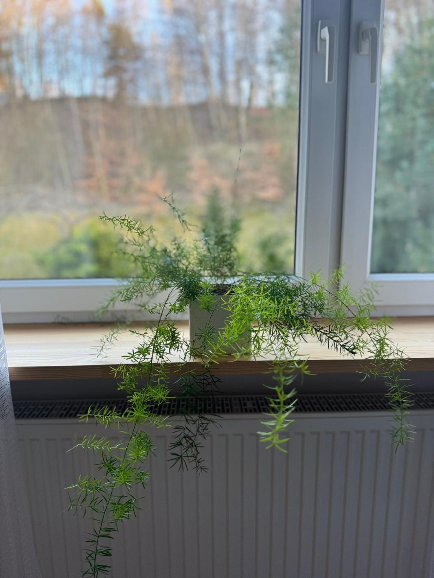 Apartament W Kamienicy Гдиня Екстериор снимка